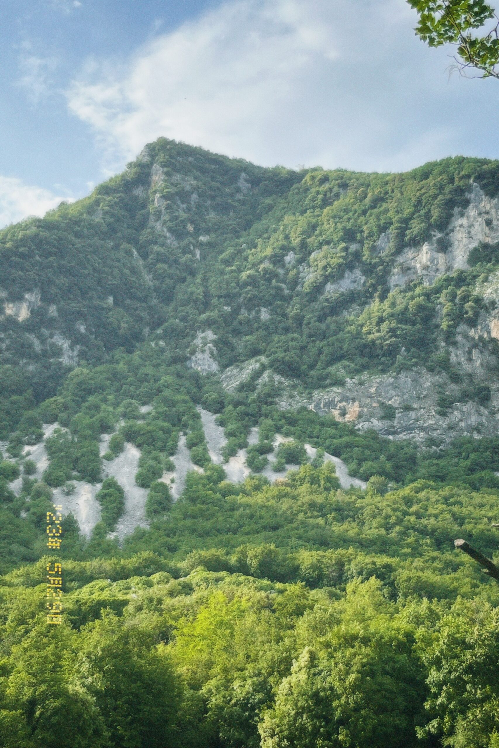 Forms of nature protection in Italy and the region of Friulia