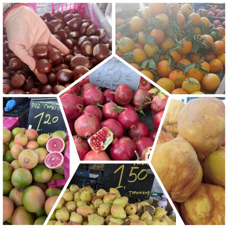 Eco_steps_3_-_grecja_ekologiczne inicjatywy 1