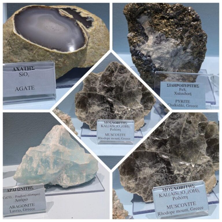 eco_steps_3_-_grecja_ekologiczne_inicjatywy_3