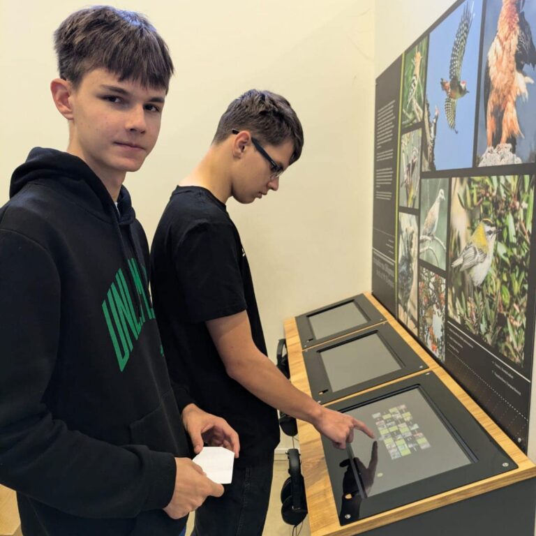 eco_steps_3_-_grecja_ekologiczne_inicjatywy_5