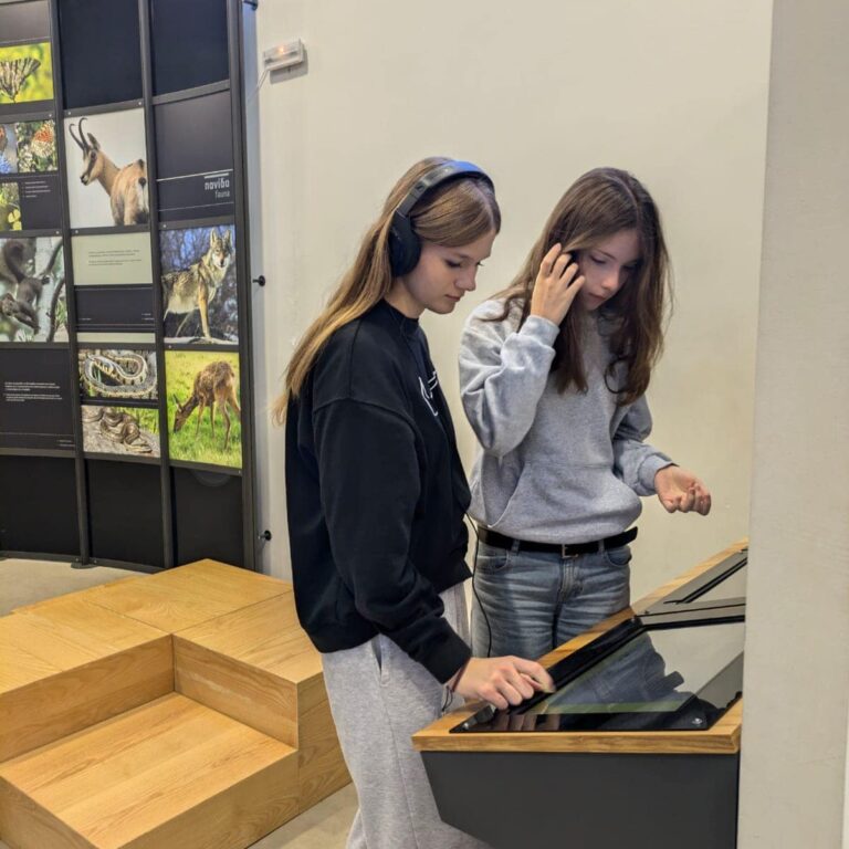 eco_steps_3_-_grecja_ekologiczne_inicjatywy_7